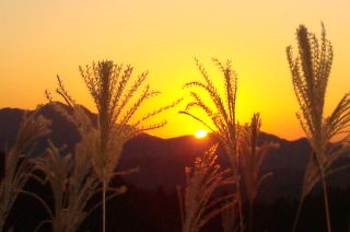 �����������������C���[�W